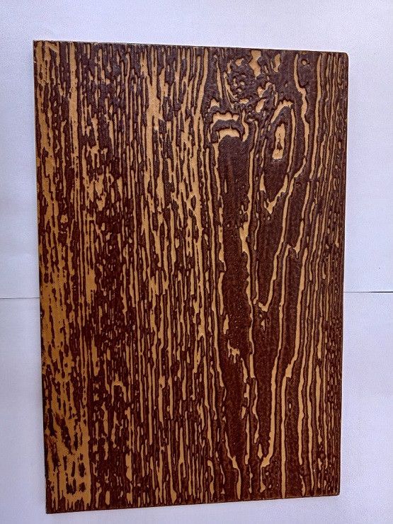 Фиброцементный сайдинг Latonit Клен (RAL 1011/8017) - цвет: Клен. купить в Ростове-на-Дону