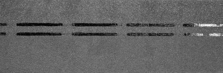 Коньково-карнизная черепица Docke, Premium, Черника купить в Ростове-на-Дону